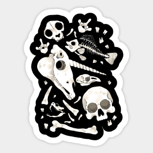 Skull and Bones Sticker